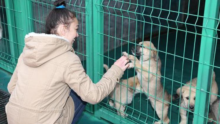 Can dostlarla engelsiz buluşma