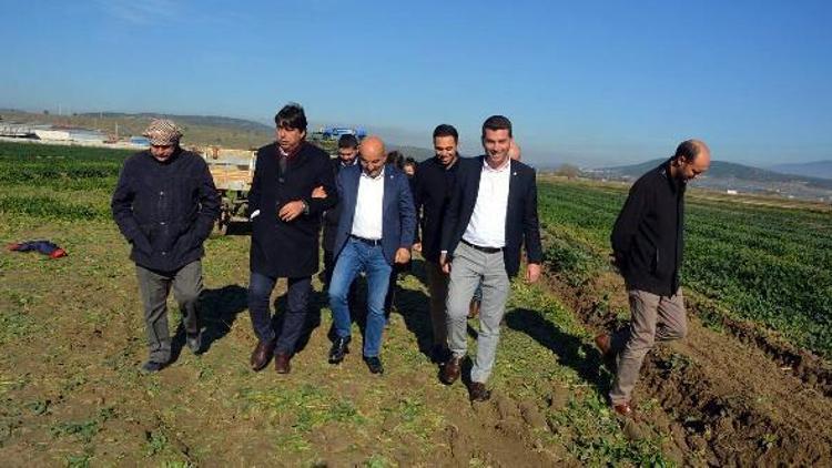 CHP Milletvekili Polattan ıspanak için soru önergesi