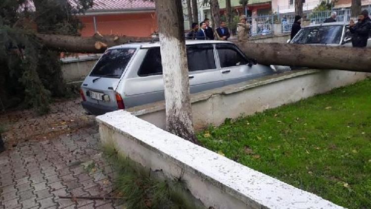 Hassa’da fırtına nedeniyle otomobilin üzerine ağaç düştü