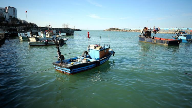 Balık rotasını Doğu Karadenize çevirdi