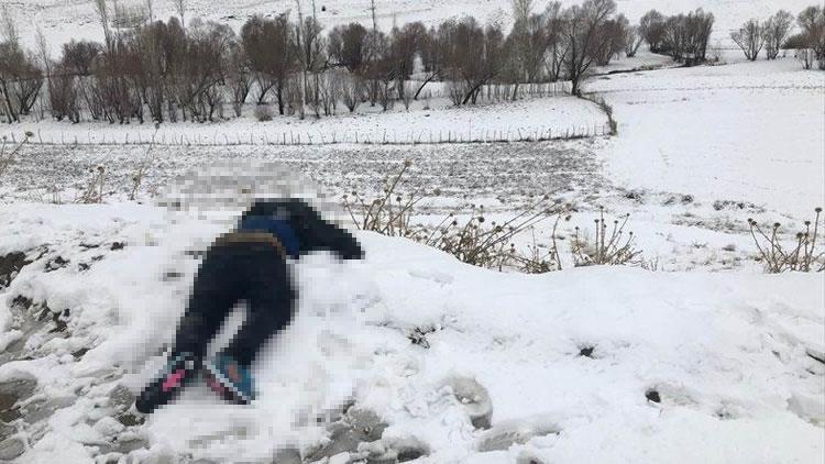 İçler acısı manzara... Bu halde bulundu