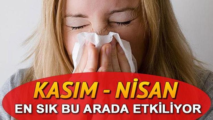 Sinüzit nedir Sinüzit nasıl geçer