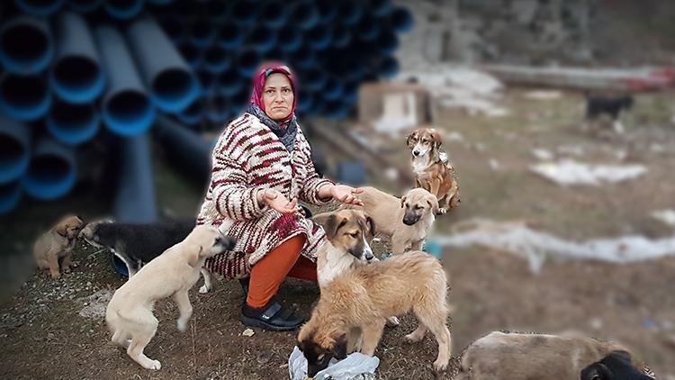 Kastamonuda yürekleri sızlatan görüntü