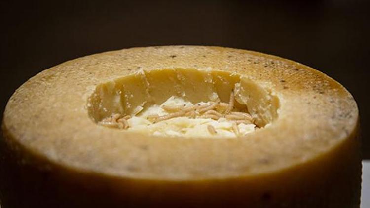İğrenç Yemekler Müzesi: Kurtlu peynir, Çin faresi