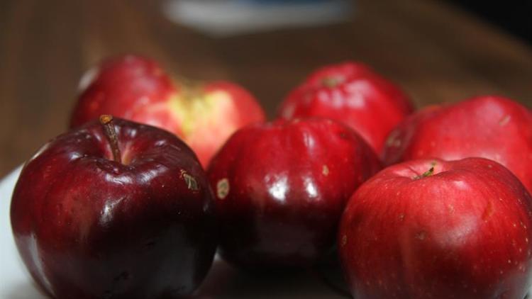 Posof'un içi dışı kırmızı elması da tescilli lezzetler arasına girdi