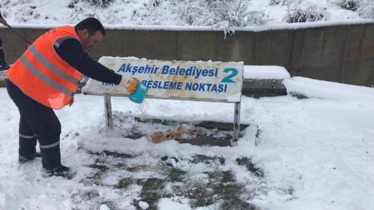 Akşehir Belediyesi, hayvanların aç kalmaması için yem bıraktı