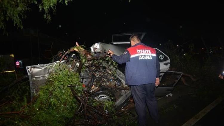 Otomobil refüjdeki ağaçlara çarptı: 3 yaralı