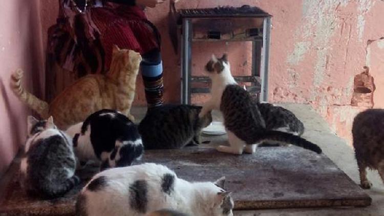Hamdu Sena, aç kalan kedileri mangalda et ve sucukla besledi