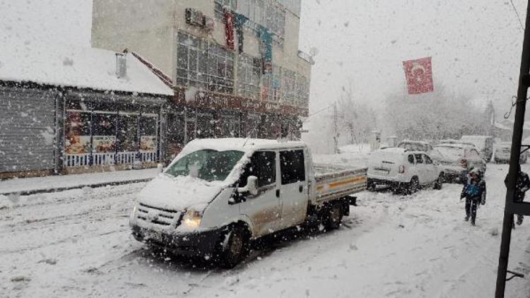 Van,Bitlis ve Hakkaride 596 yerleşim biriminin yolu kardan kapandı(2)