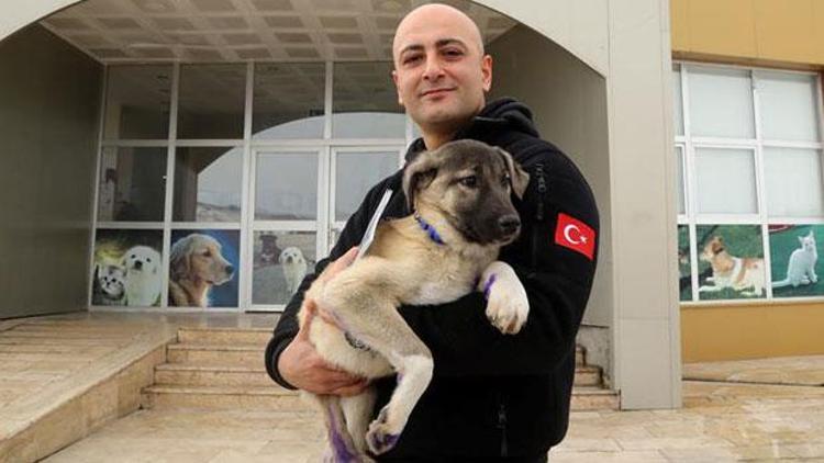 Polis memuru, kurtardığı köpeğe ’Buz’ ismini verip, sahiplendi