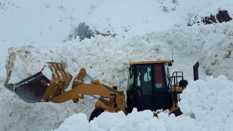 Hakkari-Şırnak Karayolunun 8 ayrı noktasına çığ düştü