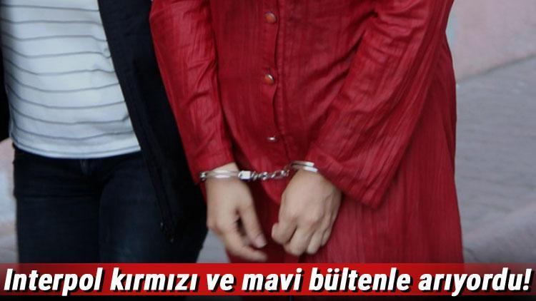 Interpolun aradığı kadın teröristler Bursada yakalandı