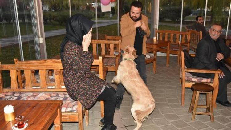 Kafe sahibi köpeği Boboyu kadına şiddet gösterenlere karşı eğitti
