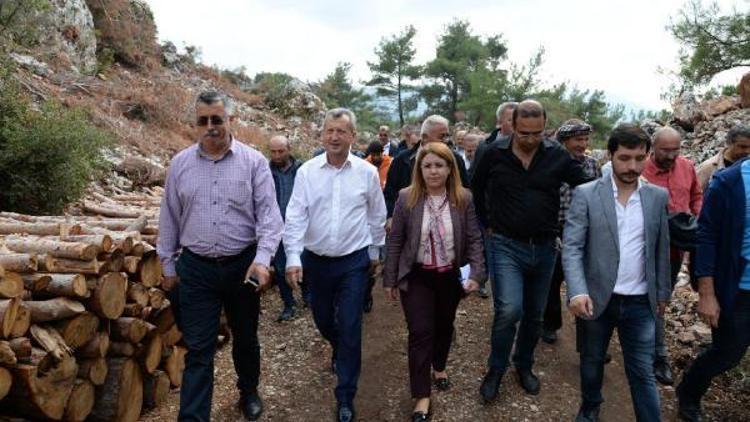 İzmirde taş ocağı için verilen ÇED gerekli değildir kararı iptal edildi