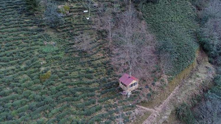 Karadenizlinin ağaç kondu evine ilgi