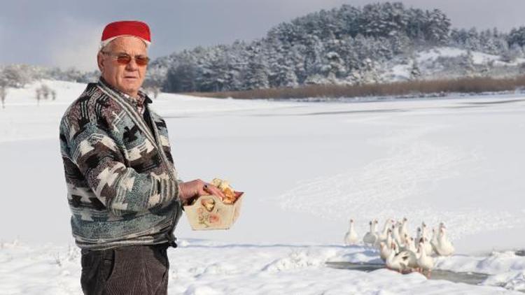 180 kuş çeşidinin yaşadığı Yayla Gölü buz tuttu