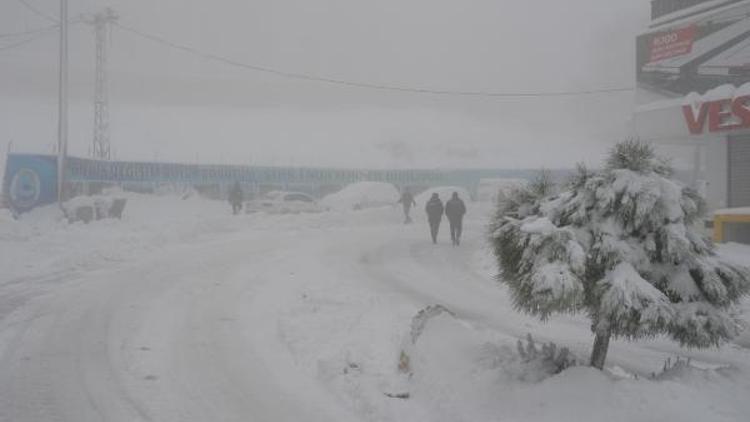 Şırnakın Hakkari ve Siirt yolları kapandı, 3 ilçede okullar tatil