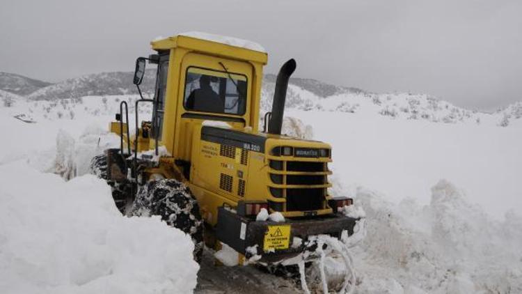 Nazımiyede kar 2 metreye aştı, Belediye Başkanı yardım istedi