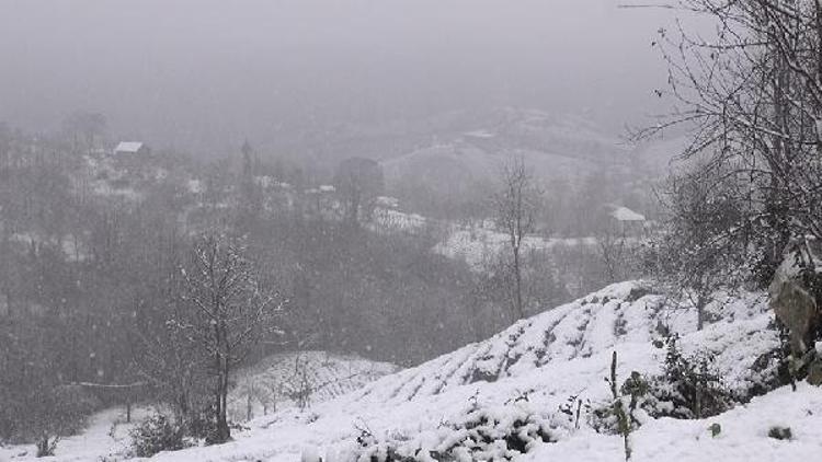 Rize Belediyesi karla mücadele çalışmalarına başladı