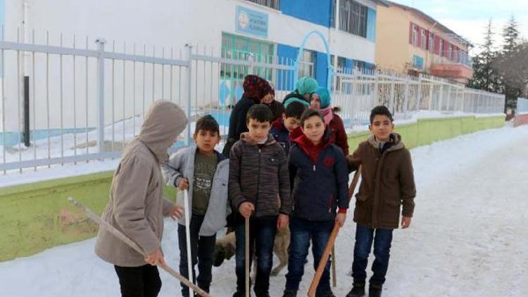 Haymanada köpeklerin saldırdığı çocuk yaralandı, öğrenciler okula sopa ile gidiyor