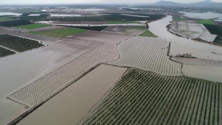 Adanada yağmurla birlikte tarım arazileri sular altında kaldı