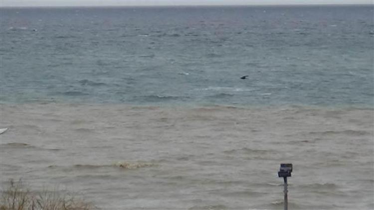 Silivri’de deniz kahverengi oldu, balıkçı tekneleri zarar gördü
