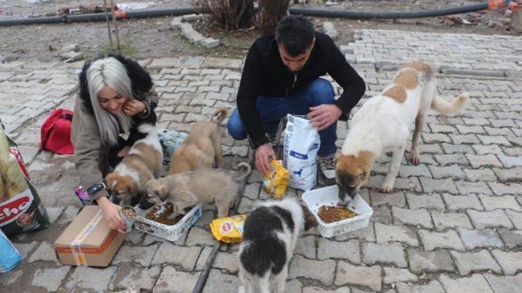 Sokak köpeklerini evinde besleyen hayvansevere mama desteği