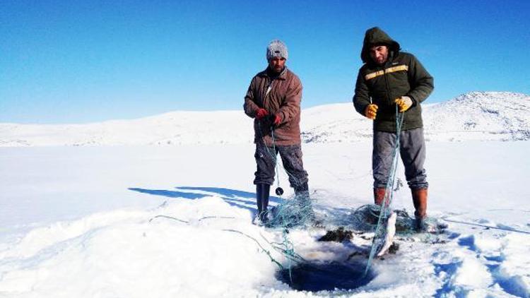 Donan Çıldır Gölünde, Eskimo usulü balık avlıyorlar