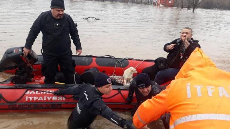 Susurluk Çayı taştı, mahsur kalan 7 köpekten 4ü kurtarıldı