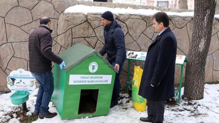 Yozgat’ta sokak hayvanları soğuktan korunacak