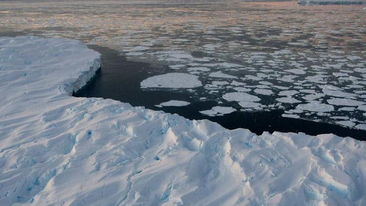 Antarktikada buzul kaybında büyük artış