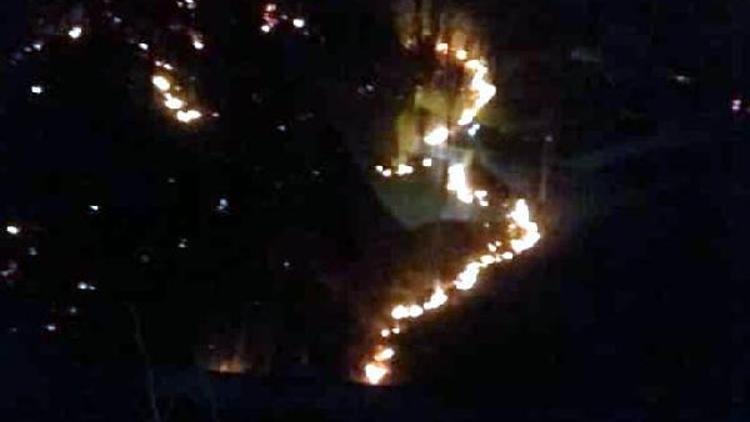 Çaykarada orman yangını: 10 dönüm alan zarar gördü