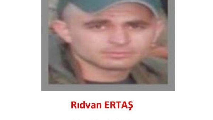 Gri kategoride aranan PKKlı terörist teslim oldu