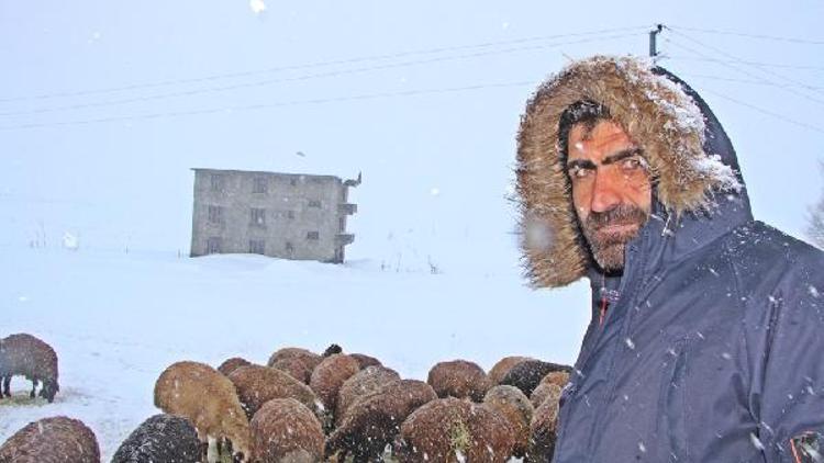 Karlıovada 2 metreyi bulan kar, hayvancılığı zorlaştırıyor