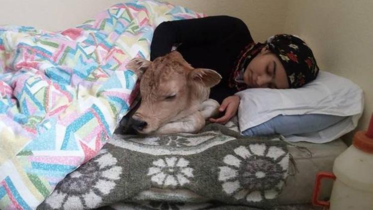 13 yaşındaki fenomen çoban Hamdu Sena paylaştı
