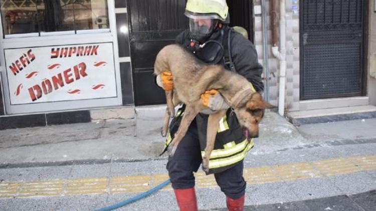 Yangında mahsur kalan 2 kişi ve köpek kurtarıldı