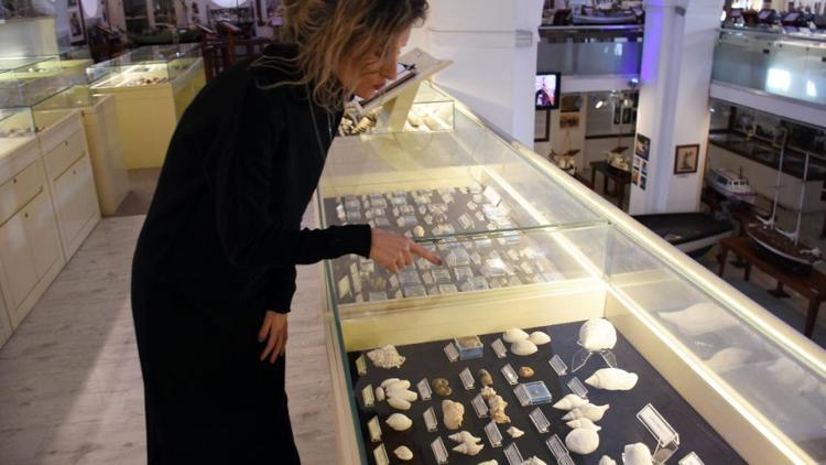 Deniz kabuğu koleksiyonunda 460 milyon yıllık fosil bulundu