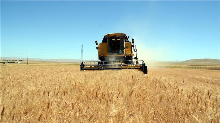 Kazakistan tahıl ihracatını artırdı