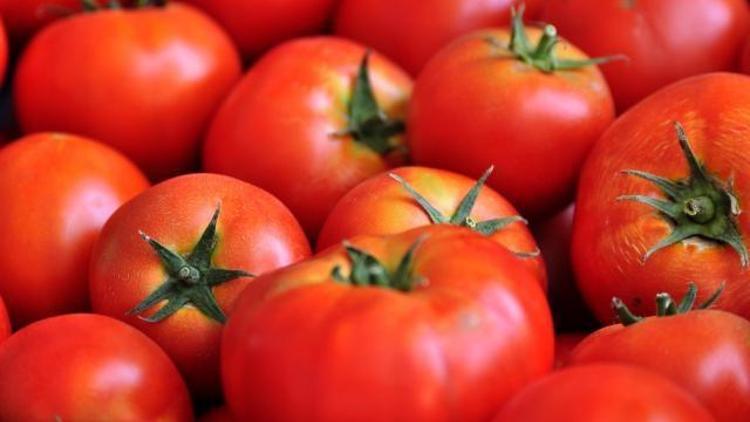 Rusyanın Türkiyeden domates kotası 100 bin tona çıktı