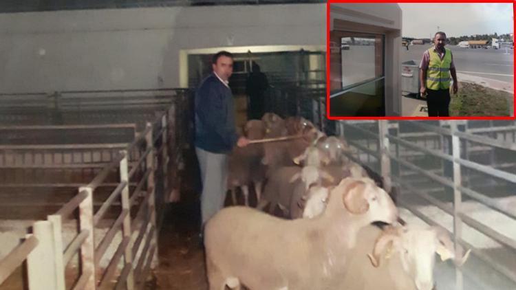 Kontrol memurunu koyun bekçisi yapan borsaya 250 bin liralık mobbing cezası