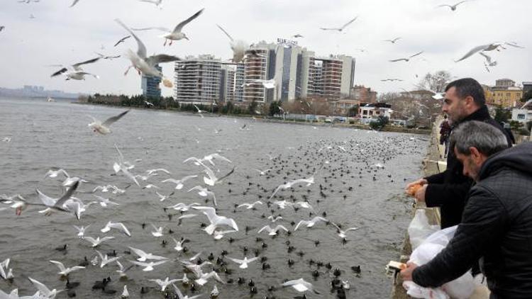 Küçükçekmece Gölündeki binlerce kuşu çöpe atılan ekmeklerle besliyorlar