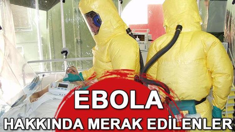 Ebola nedir Ebola hakkında merak edilenler