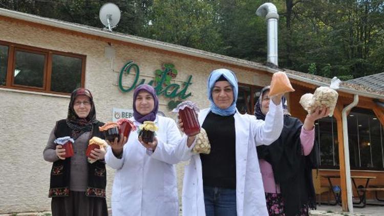 Kadınlar kooperatif kurdu, projeleri Türkiyede ilk 50ye girdi