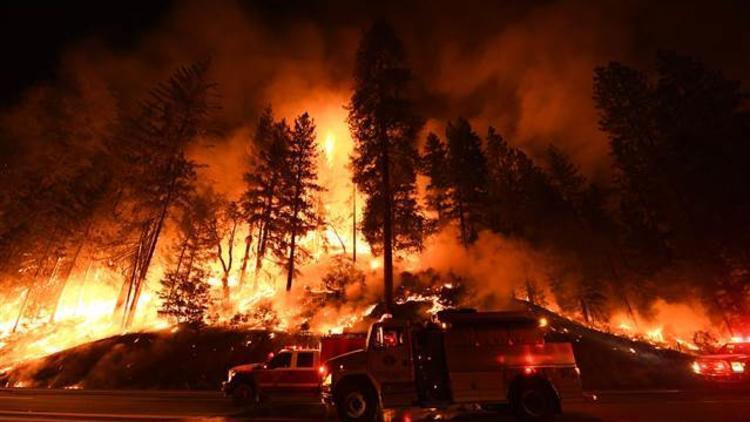 28 Ocak hadi ipucu: Orman Yangın İhbar acil numarası nedir
