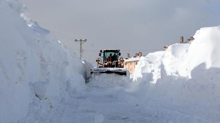 Bitliste kar yığınları kamyonlarla kent dışına taşınıyor