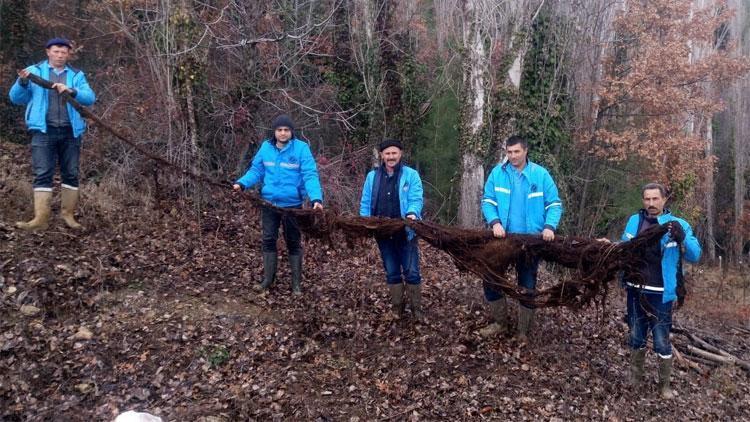 Ekipler şaşkına döndü Su borusunun içinden çıktı, 8 metre…