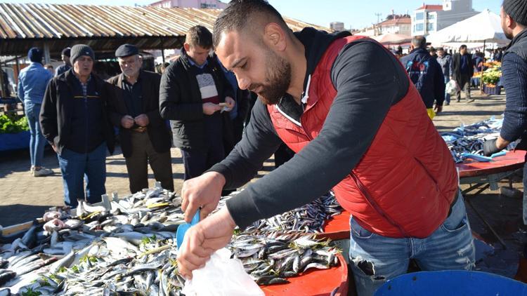 Karadeniz hamsisine yoğun ilgi