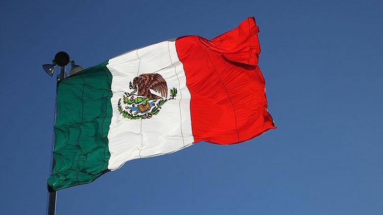 Meksika kayıp vakalarıyla mücadeleyi artırıyor