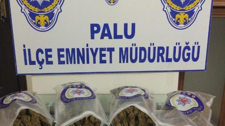 Paluda 4 kilo esrar ele geçti, 2 kişi tutuklandı