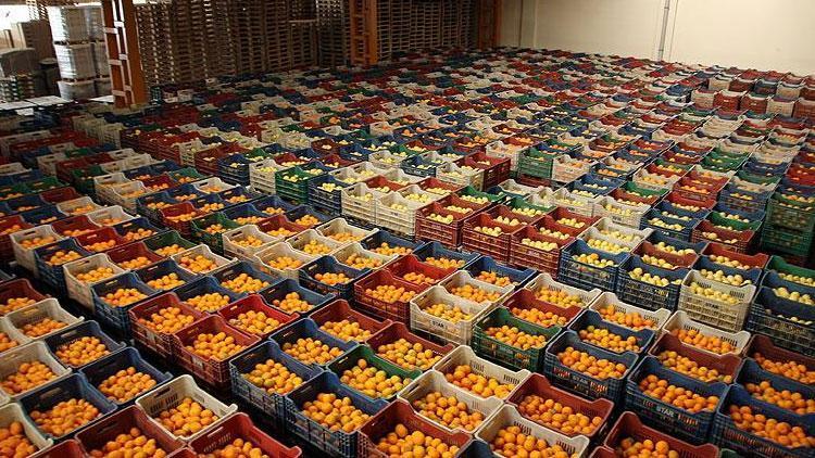 Sebze ve meyveler sahte evrakla yurt dışına kaçırılıyor
